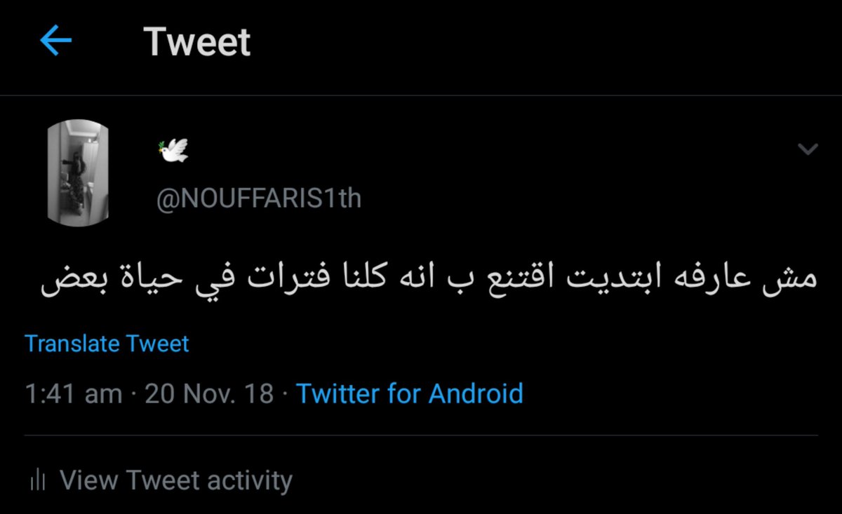🕊️ tweet media