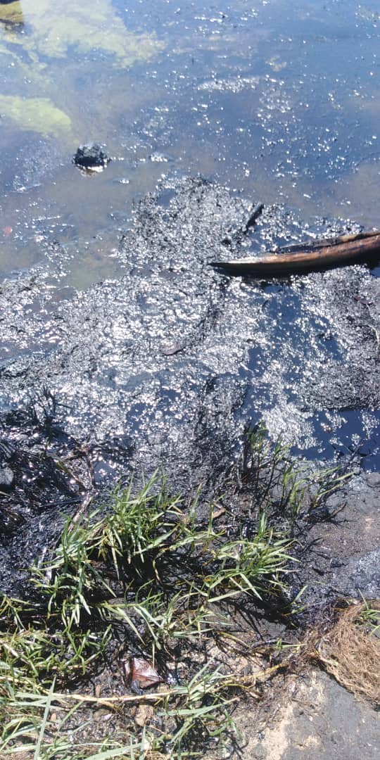 noticiacadadia's tweet image. En este momento derrames de petroleo en el lago de Maracaibo, el municipio Santa Rita y Cabimas #Zulia muy afectadas, imágenes dantescas d este crimen ecologico , hasta el momento no hay plan de contingencia d #PDVSA. @sumariumcom @AsiEsNoticiasVe @AsambleaVE @pjzulia @ExtraVzla