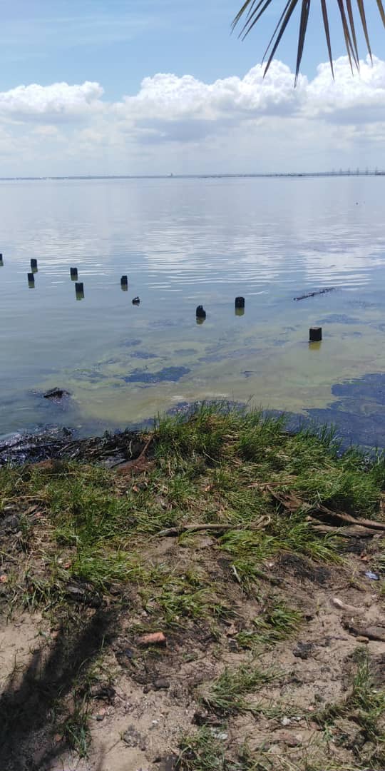 noticiacadadia's tweet image. En este momento derrames de petroleo en el lago de Maracaibo, el municipio Santa Rita y Cabimas #Zulia muy afectadas, imágenes dantescas d este crimen ecologico , hasta el momento no hay plan de contingencia d #PDVSA. @sumariumcom @AsiEsNoticiasVe @AsambleaVE @pjzulia @ExtraVzla