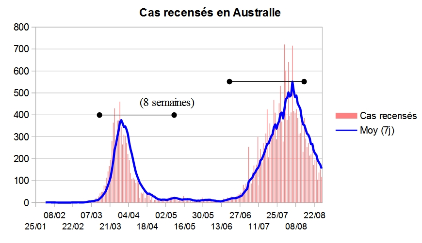 36d. La deuxième vague australienne (hivernale), partie de rien, à l'échelle française (et ils voient plus de cas que nous). Encore plusieurs semaines de confinement nécessaires à Melbourne (stade 3 début juillet, stade 4 depuis le 2 août) pour descendre jusqu'à quasi-zéro.