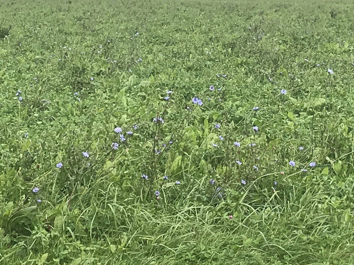 Anja Kaptein tweet media