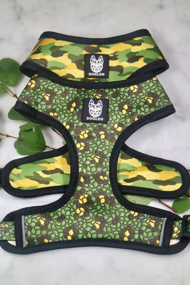JangoWears's tweet photo. Look at the range of items that this amazing design now features on - exclusive to @dogldn - use code JANGOWEARS for 20% off - thanks so much @dogldn for allowing us to be part of this amazing venture 💚 https://t.co/Vb30ALfroS