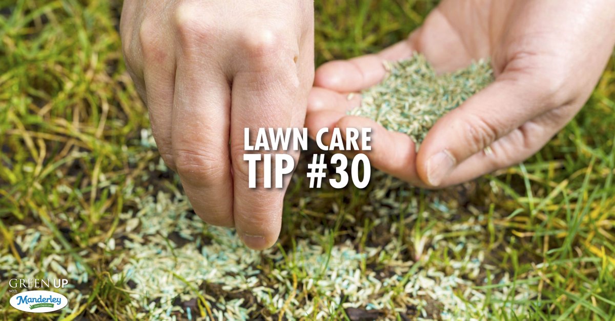 Summer Tip #30: Late Summer to Early Autumn is the perfect time to overseed your lawn. As the weather starts to cool topdress and overseed for a greener, lusher lawn your neighbours will envy.