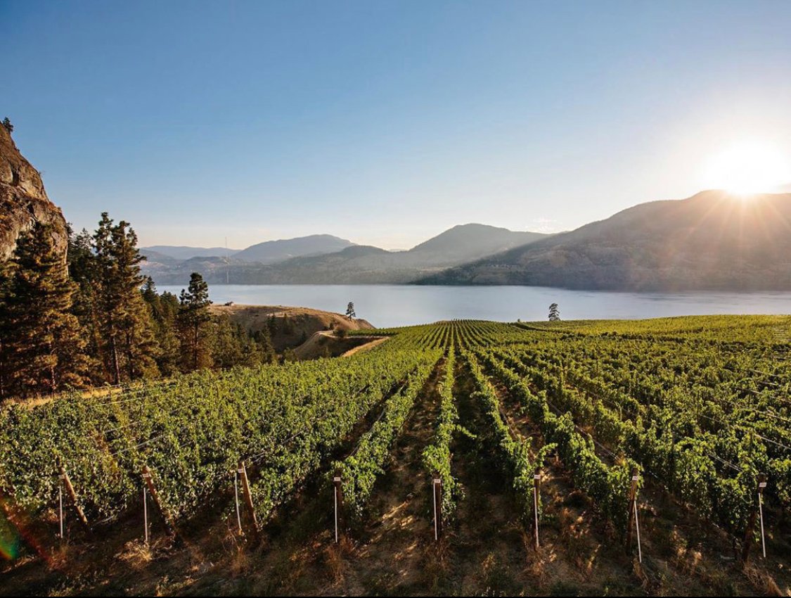 Stunning view from @PaintedRockWine in #Penticton ! They are open for tastings, so be sure to make a reservation and keep exploring BC Wines! #OKWineFests
