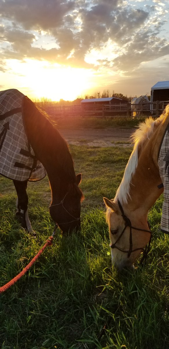 From sand dunes to sunsets, thanks to all our employees who submitted pictures of beautiful Saskatchewan for the Western Region Photo Challenge. You can view the full gallery on the Western Infozone home page. I'm also looking forward to seeing Manitoba's photos next week!