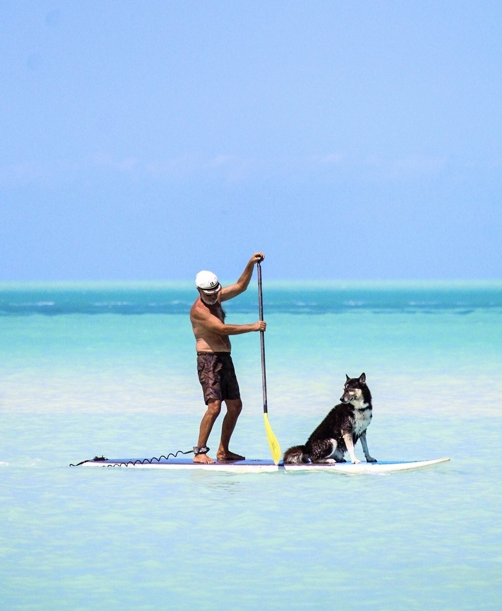 Man’s best friend - both on and off the water #supconnect

📷 <a href="/HolboXtreme/">HolboXtreme</a>

Share your photos: supconnect.com/photo-contest-…