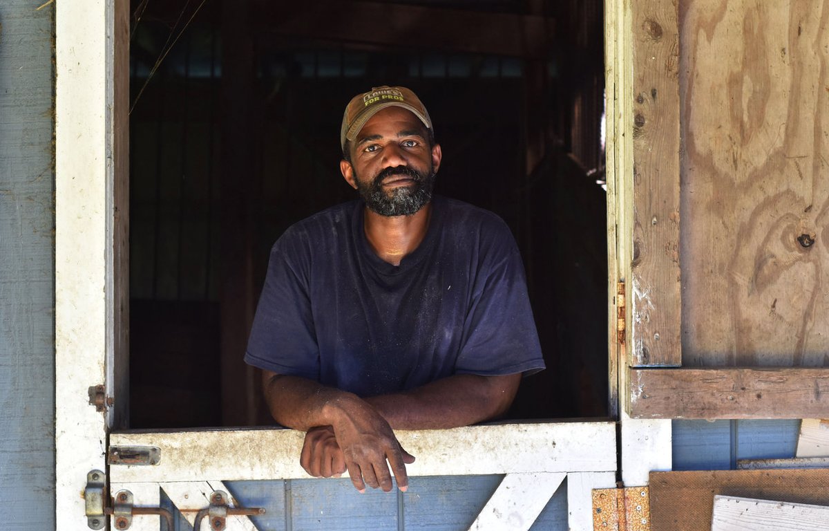 FarmAid's tweet photo. Important story from @MorningEdition with great photos.

"At the start of the 20th century, one in seven farmers in the U.S. was Black. In the decades that followed, however, Black Americans were dispossessed of an estimated 13 million acres of land."

https://t.co/qPYbdaj66i https://t.co/5F6F1X2Q79