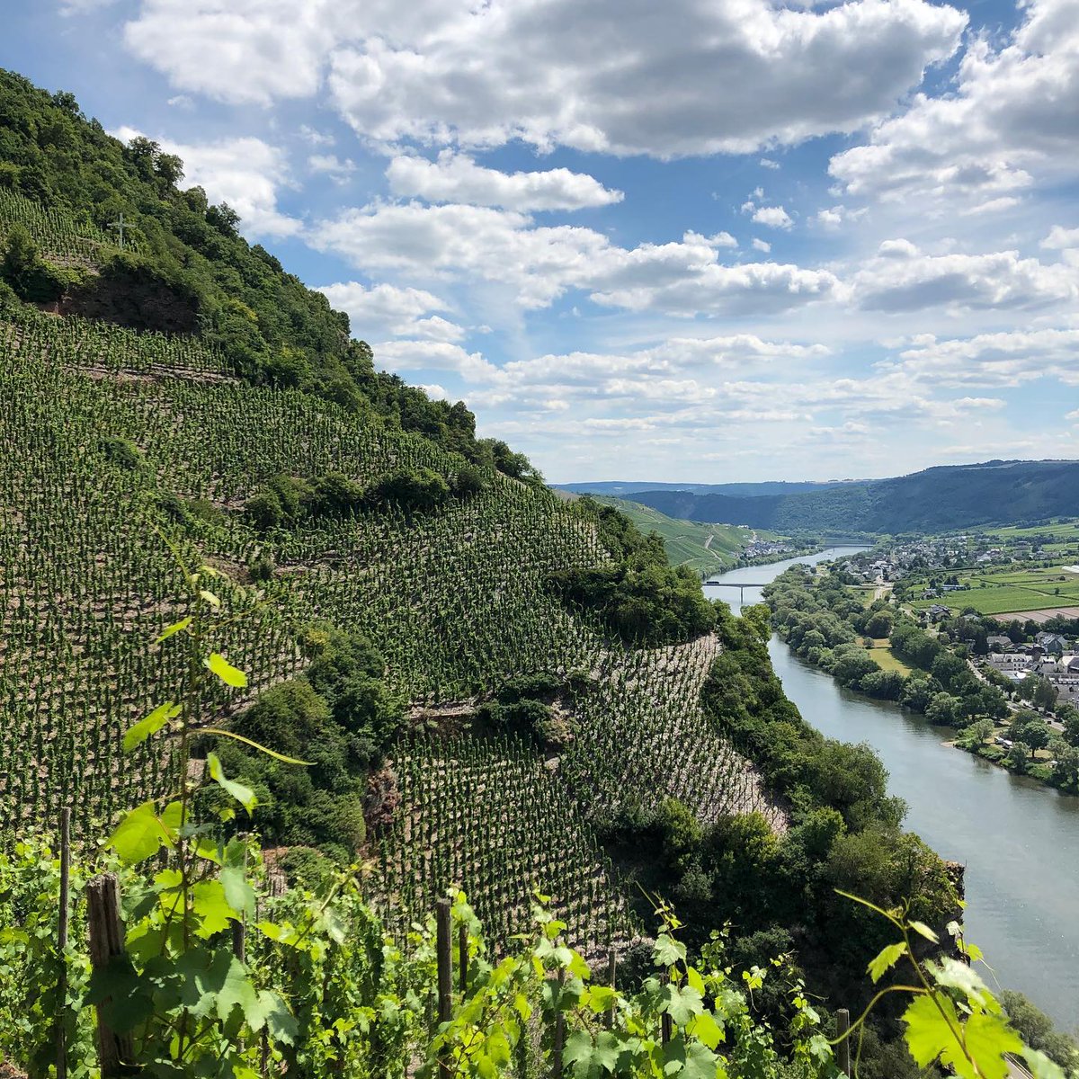 Ürziger Würzgarten by Weingut Markus Molitor #steepSlopesOnly 
#RieslingLegend #PreferredWines #wine #wein #riesling