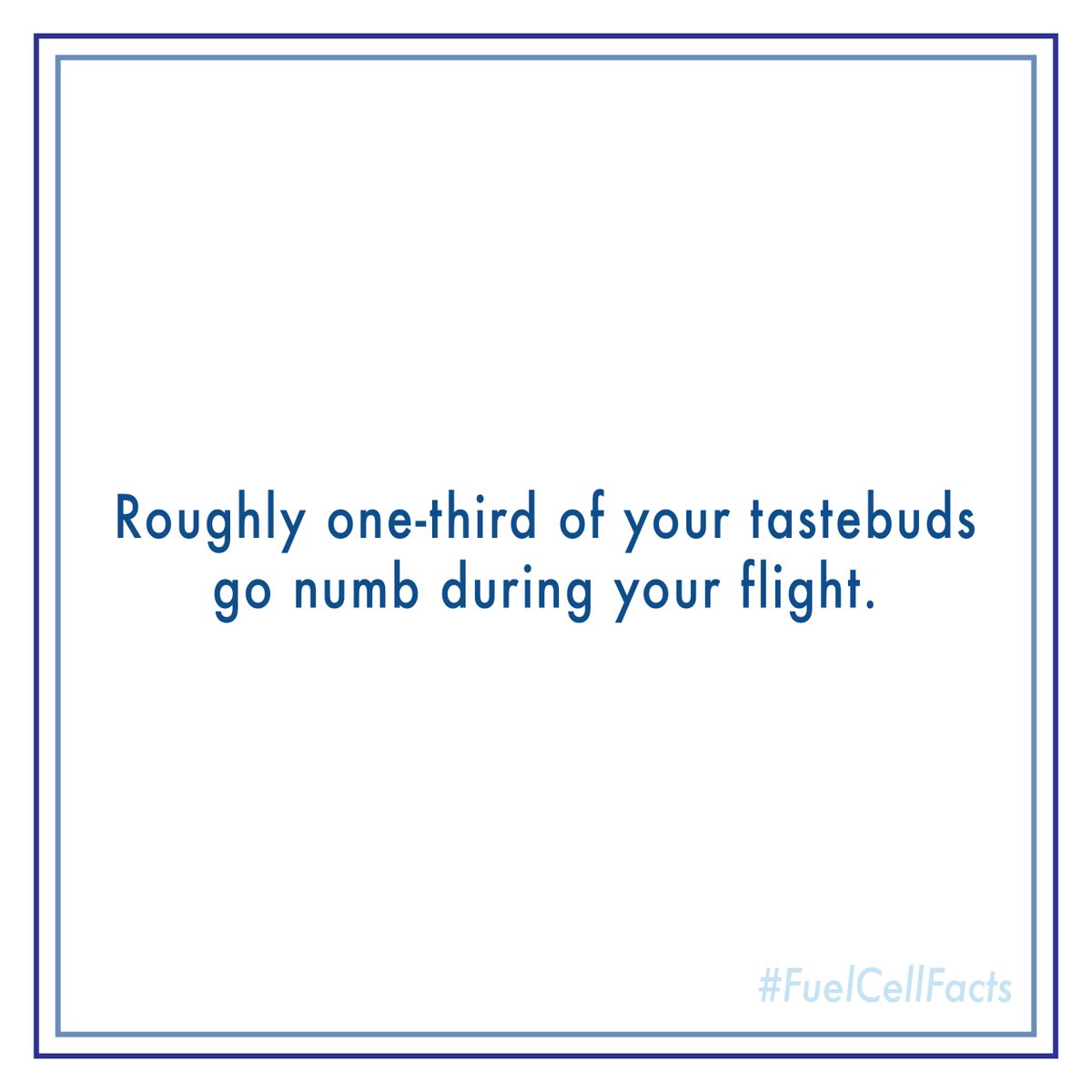 Roughly one-third of your tastebuds go numb during your flight.