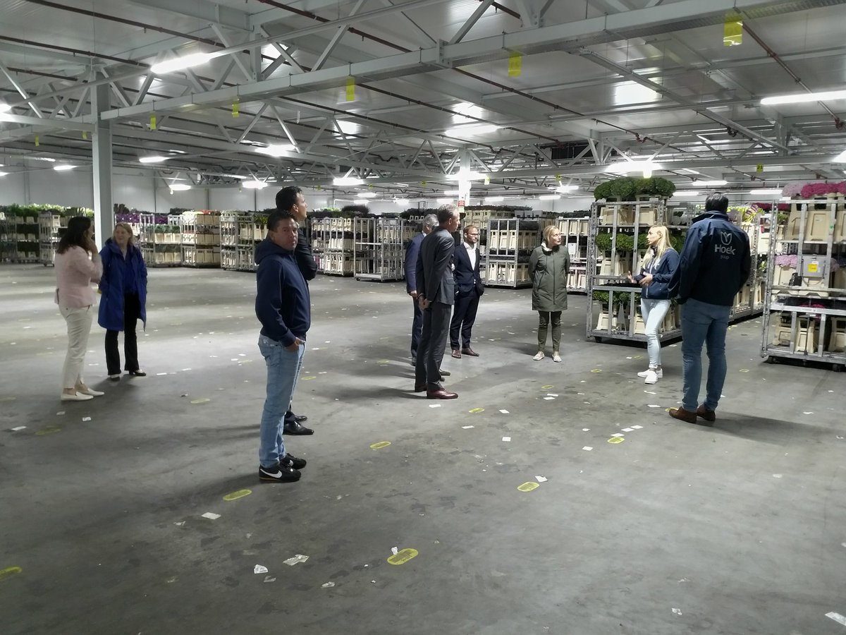 AndriesMiddag's tweet photo. Nog wat plaatjes van vanmiddag: werkbezoek @abomlemstra e.a. aan twee mooie bedrijven in onze @GreenportDB . 'De pink guys' van Hoek Group, de Coolblue van de tuinbouw, en @flowerboostnl : je zal er maar wonen! https://t.co/Ahj7GMsoeF