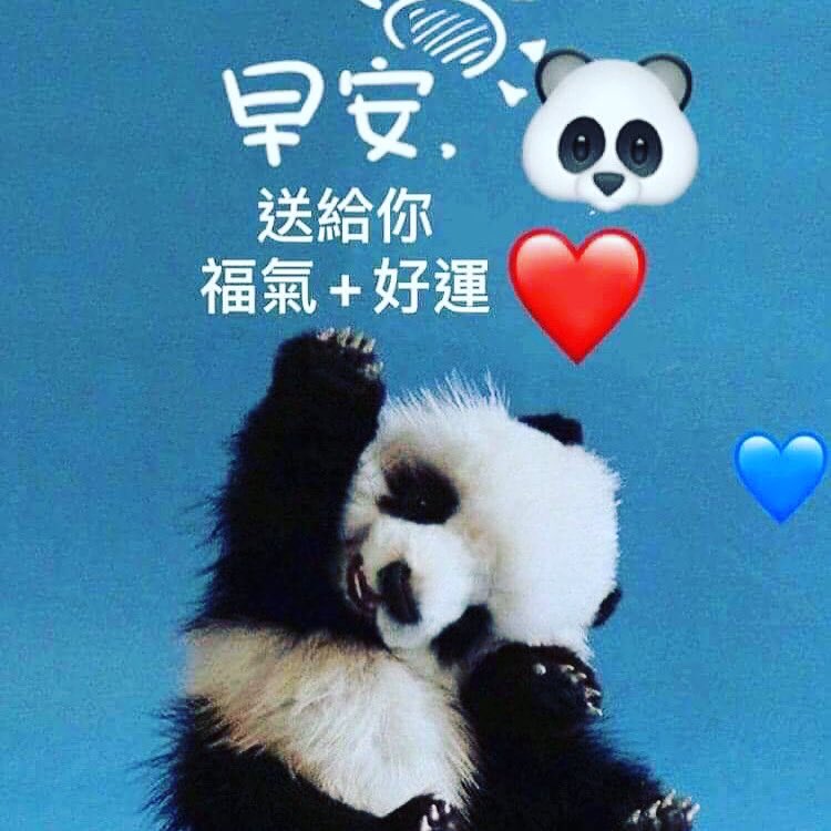 Felix (@lxp520zjb) on Twitter photo 