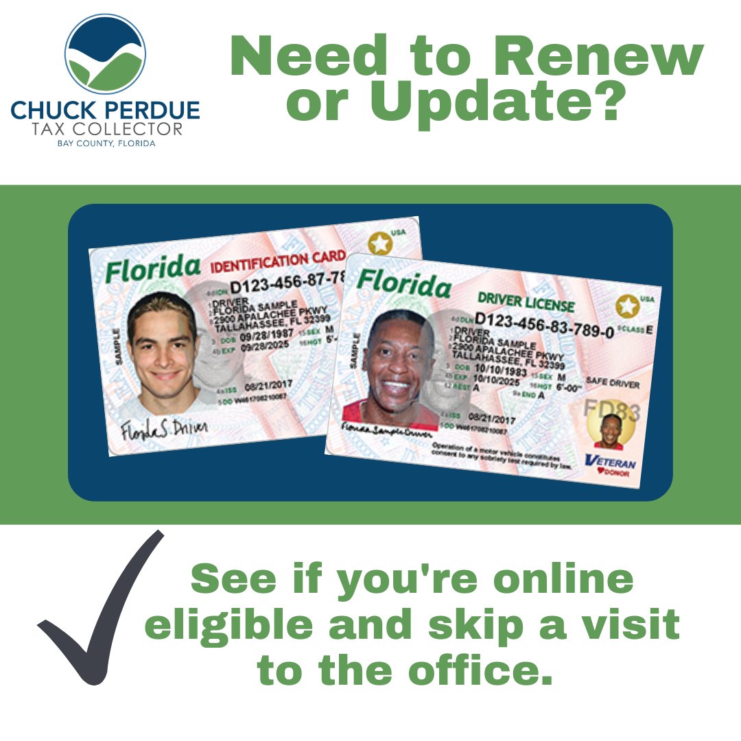 florida drivers license check