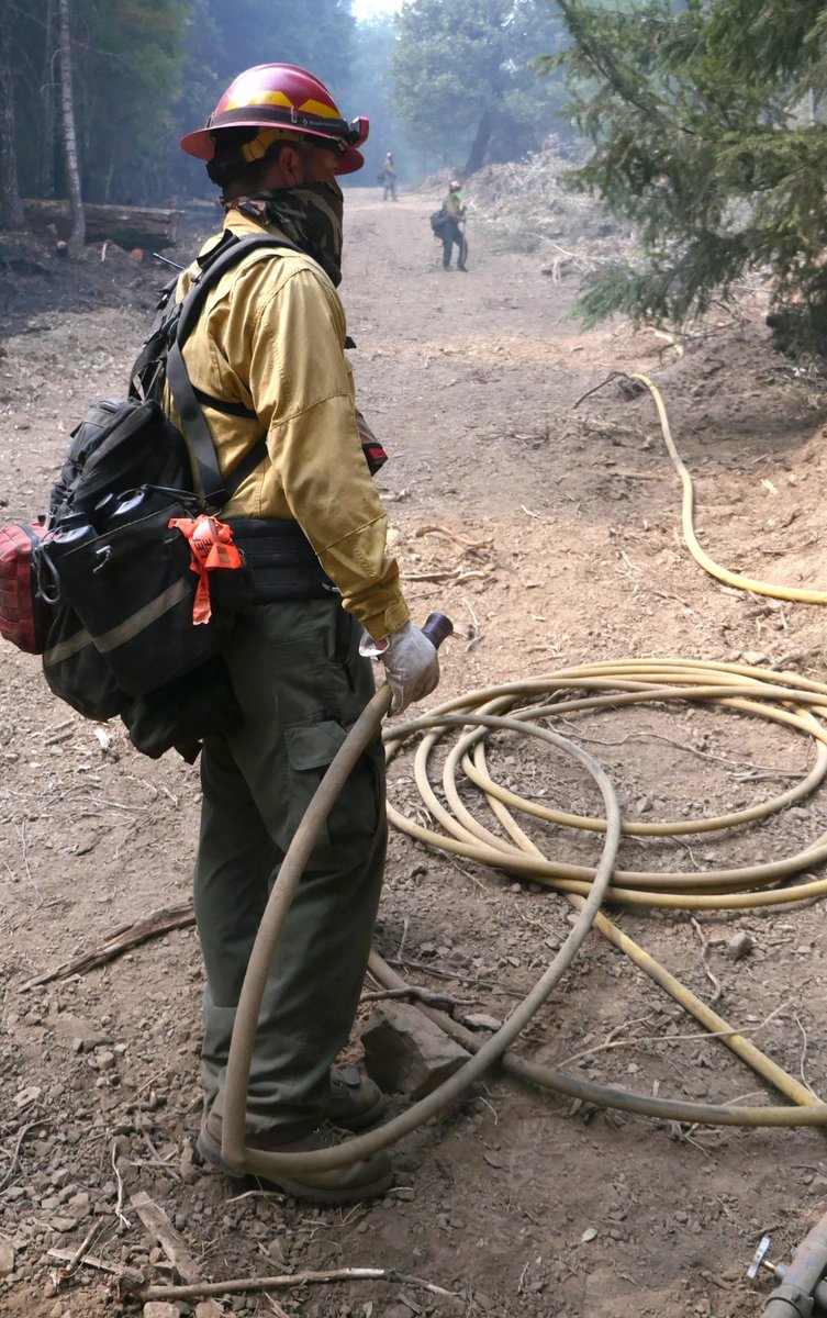 FSNIFC's tweet image. About 6,000 USDA Forest Service firefighters and support personnel are at work on wildfires across the U.S. inciweb.nwcg.gov #RedSalmonComplex photos @ShastaTrinityNF @RedSalmon2020
