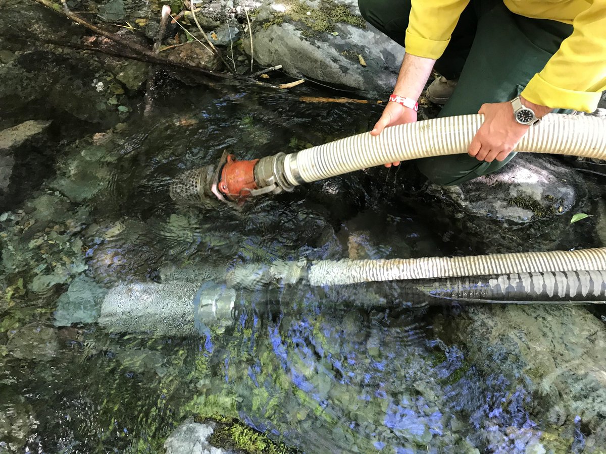 FSNIFC's tweet image. About 6,000 USDA Forest Service firefighters and support personnel are at work on wildfires across the U.S. inciweb.nwcg.gov #RedSalmonComplex photos @ShastaTrinityNF @RedSalmon2020