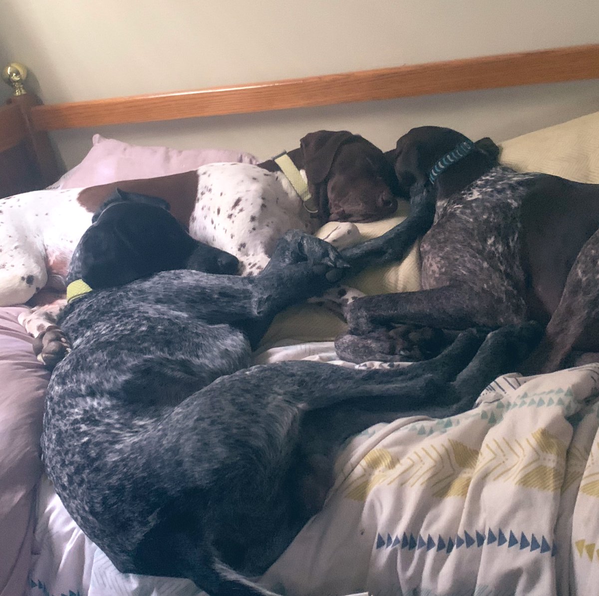 chels_noel's tweet photo. My coworkers are being super lazy today. #gspmom #livingtheirbestlife https://t.co/u9xJ5qCPIC