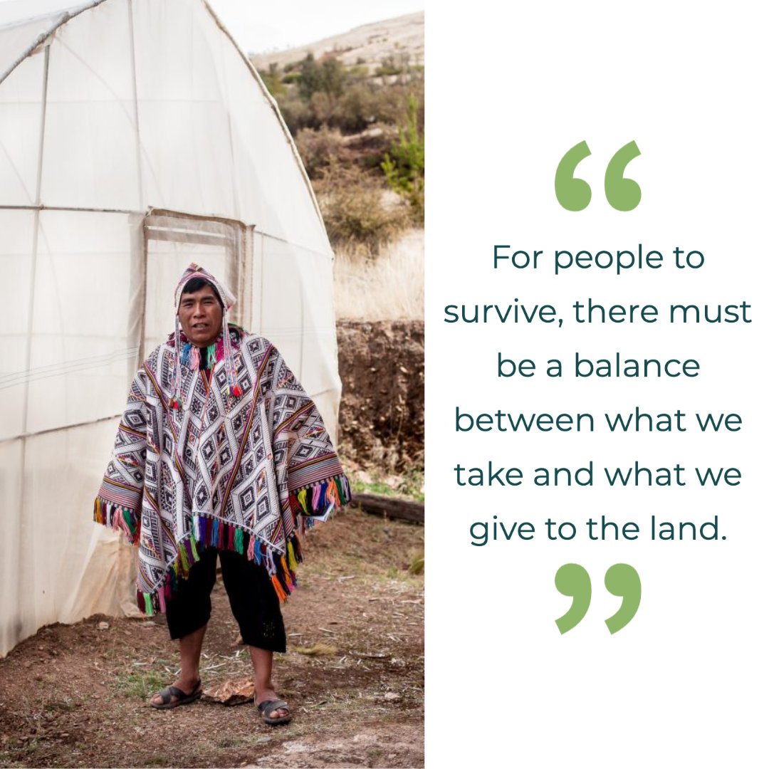 In the Andean cosmovision, harmony between humans and their landscape is sacred, says Mariano Sutta, traditional native crops and wild relatives expert at the Potato Park, Peru, where Quechua communities conserve more than 1300 (!) varieties of potato: agroecologyfund.org/blog/2020/8/25…