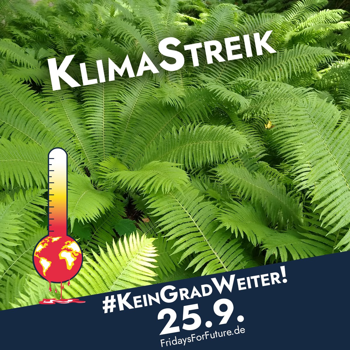 BananePlastik's tweet photo. #FridaysForFuture https://t.co/OS8luLTzHA