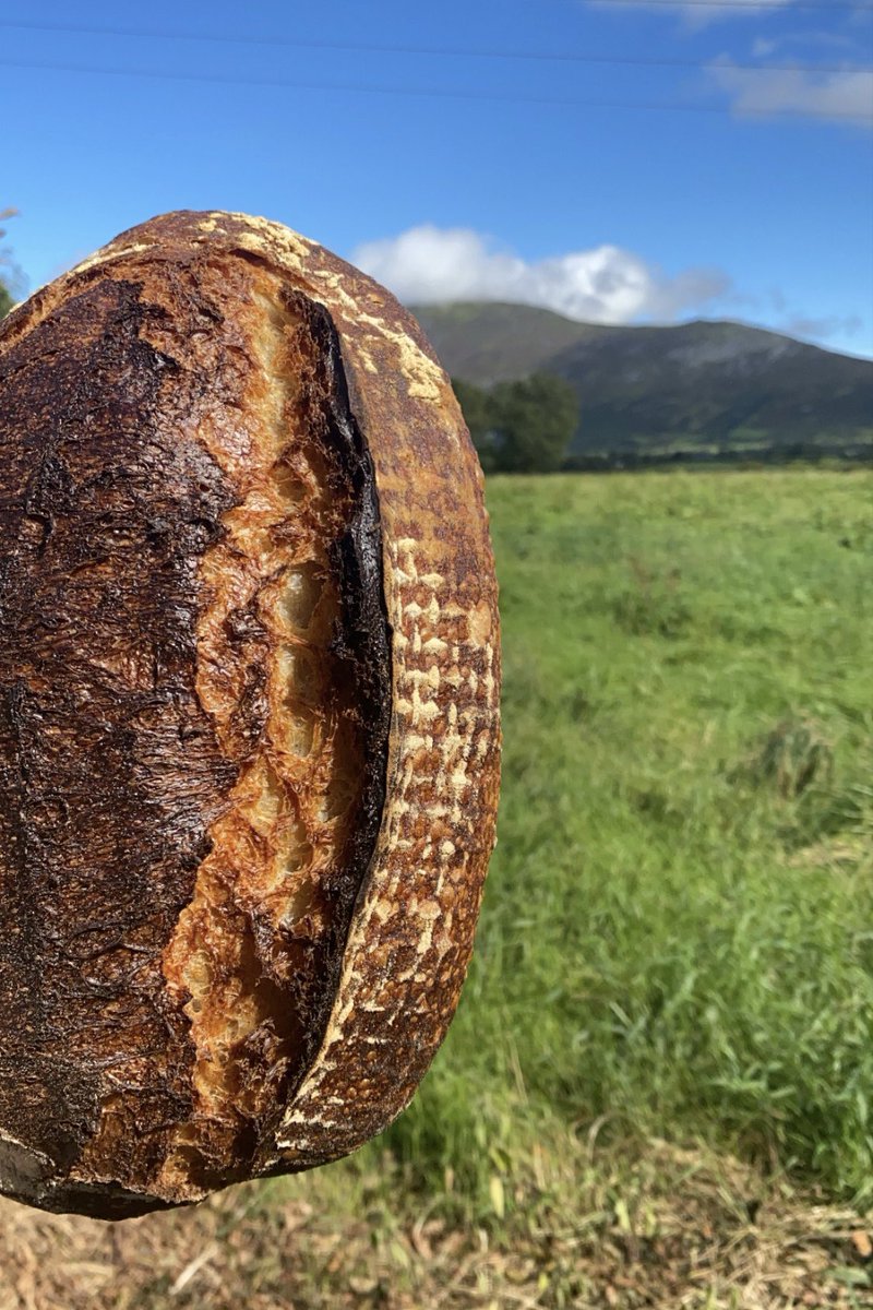 Plúr Bakery tweet media