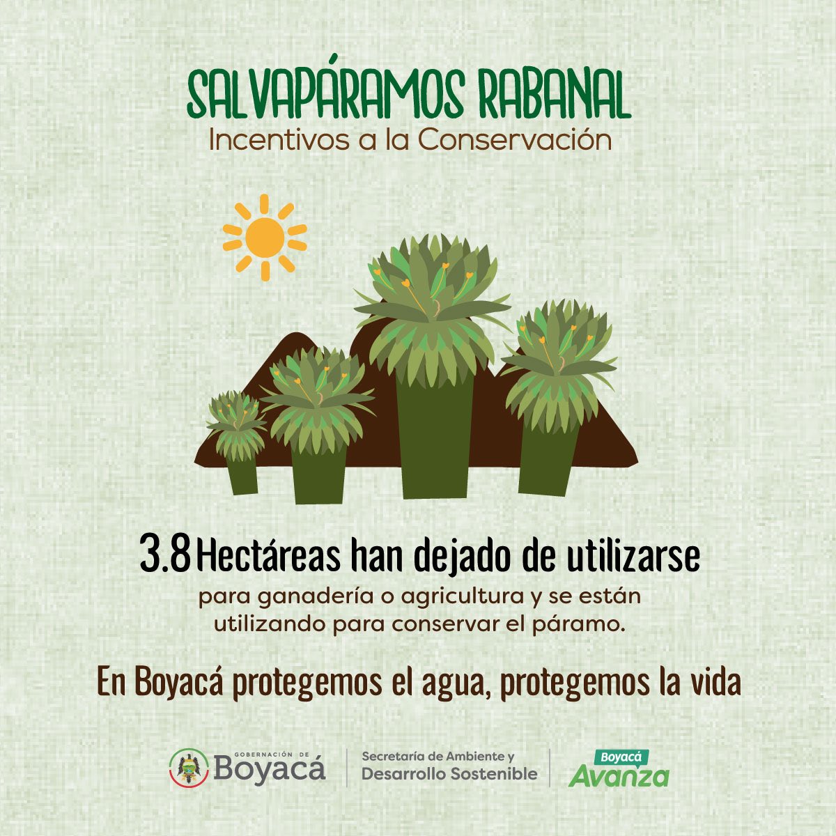 Cuidamos el tesoro más valioso que tiene Boyacá: el agua. Lo hacemos con inversiones y en equipo con nuestra gente. 

Así avanzamos con ‘Salvapáramos Rabanal, incentivos a la conservación’: