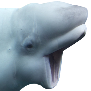 Crescxnt / Laura tweet media