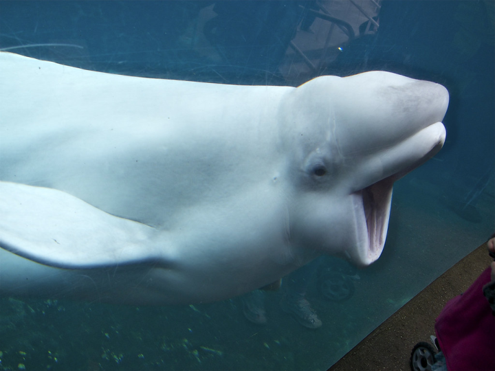 Crescxnt / Laura tweet media