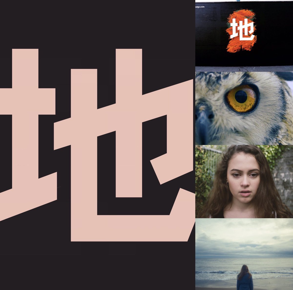 Ring Saigo tweet media