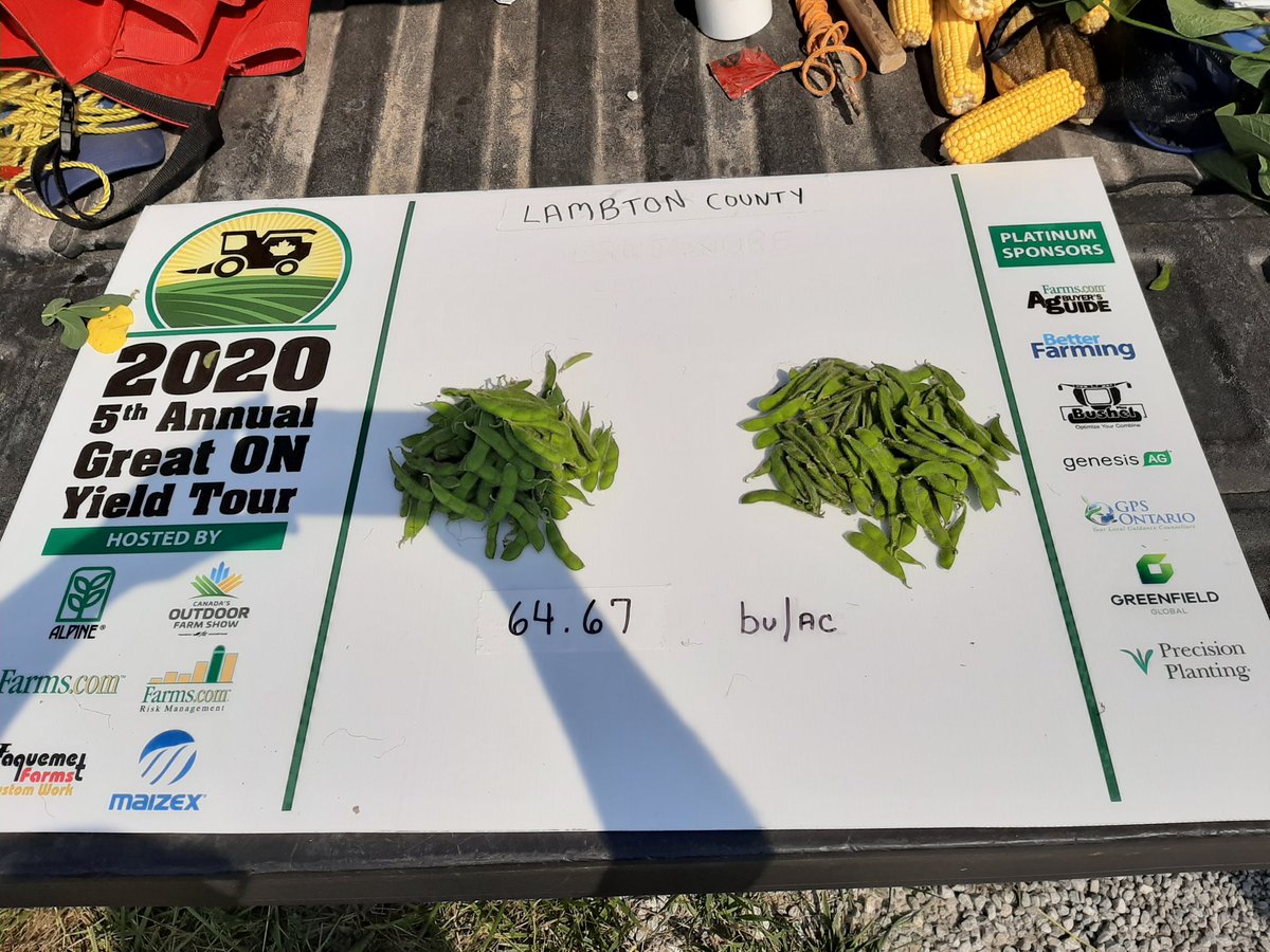 sprayman63's tweet photo. Soybean stop in Lambton County for the #ONyield20 . Just outside of Corruna. Nice yield potential on these soybeans.  According to grower the field had very timely rains! @mooremawfarms @kylemaw #Maizex #Alpineplf https://t.co/MoP8RLvfBK