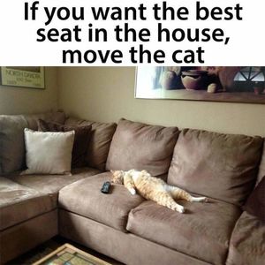 If you want the best seat....