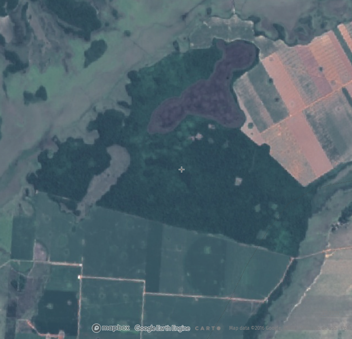 Drunken_Forest's tweet photo. Hermoso es el discurso de que el desarrollo de Paraguay es sostenible porque tenemos unas magníficas leyes. Cuando vea una hectárea de bosque recuperado pagado por un infractor voy a decir sin problema bueno, si, empezamos a hacer bien las cosas, pero hoy eso no existe. https://t.co/cd1QP3WxCP