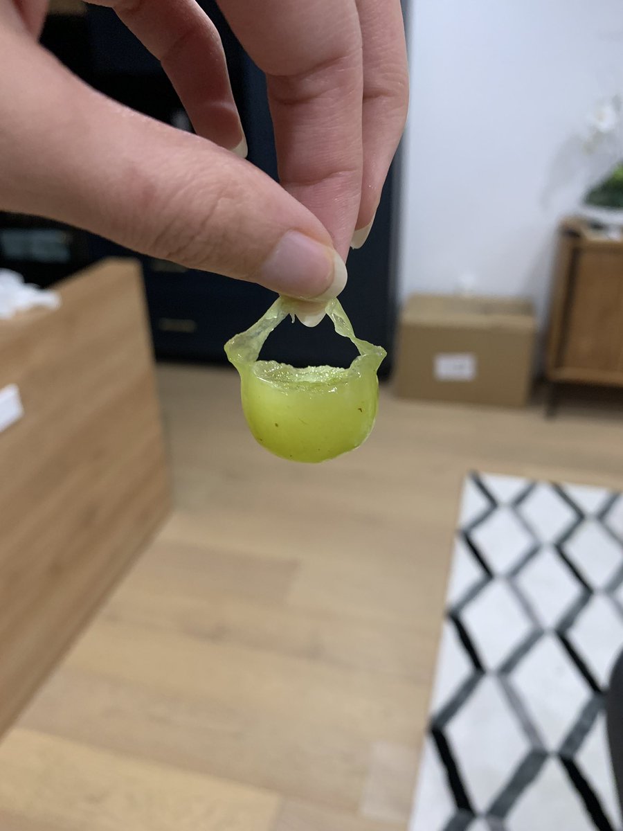 JaidenAnimations tweet media