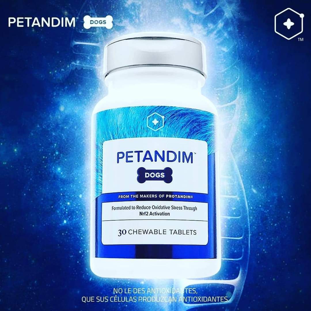 Pet-comm siempre preocupado por la salud de nuestras mascotas, los invitamos a que vean este video youtu.be/sv-2WixNx70 es un tratamiento increible para los canes!! Visiten nuestra tienda pet-comm.com/tienda