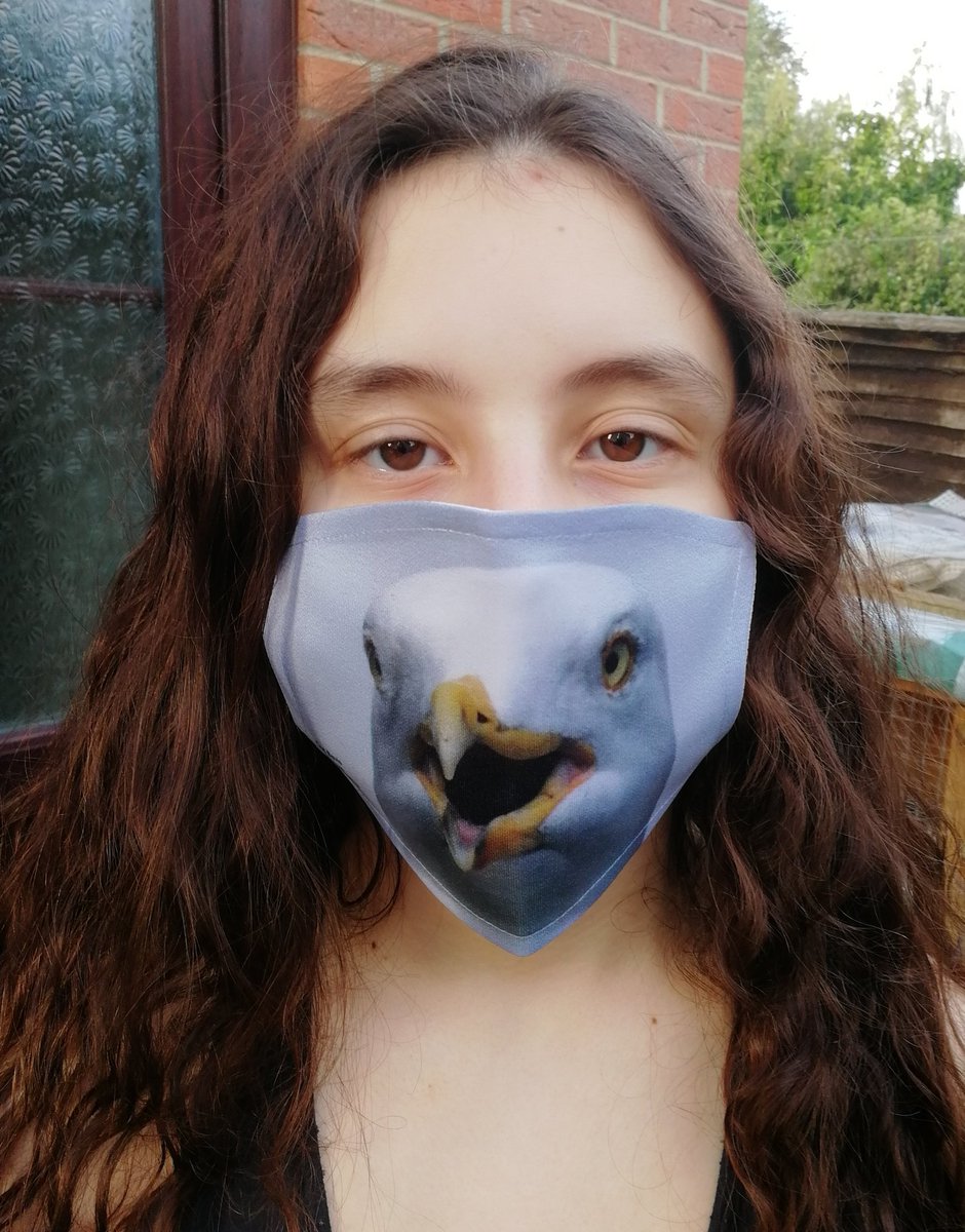 You can buy 'Herring Gull portrait' here; https://www.carlbovis.com/product-page/face-mask-herring-gull-portrait 