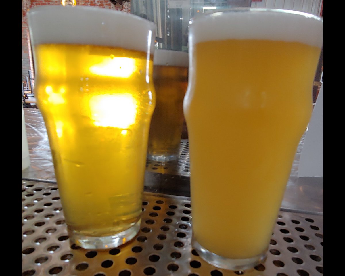 TritonBrewing's tweet photo. Two great #draft options! On the left, #PaleSplitterAPA. On the right, #GreenTeaGuavaSour. Two of the many tasty choices available to tickle your palate. What's your #flavor? https://t.co/6Xp9iaZTgT