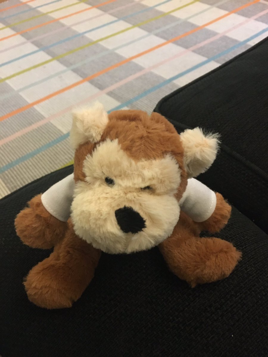 dee_strictly's tweet photo. Smallest hoom brought this back from nursery today, I’m not sure what it is but it seems friendly #notamole https://t.co/WEbhrrrNvq