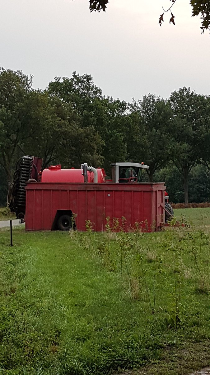 En dit is dan het weiland naast onze camping 🤔