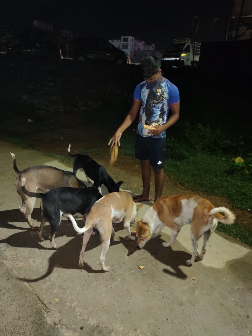 teamsevasft's tweet photo. #8th_Week
#Divya_Aadhaar
#Protection_to_Animals
#CONCERN_FOR_STRAY_ANIMALS_BY_SEVA_SOCIAL_FOUNDATION_TRUST
(Cows and Bulls are labelled with glow stickers in Bhubaneswar)BBSR-27.08.2020
@BehuraGitanjali @teamsamarpita @aftab70782201 @Uditsahuodisha @sadasiba2013 @Sangram_Gala https://t.co/LjV1oQ2GiM