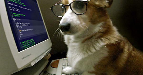 lhopital_lives's tweet image. Me when I write one (1) line in command prompt #pythontwitter #codingtwitter