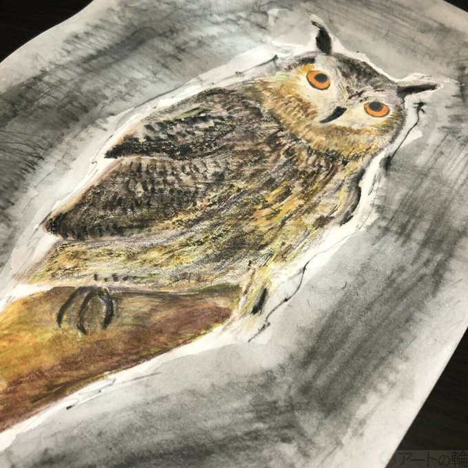 ミミズクのtwitterイラスト検索結果 古い順