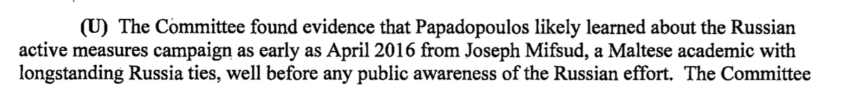 It found that a campaign aide,  @GeorgePapa19, likely learned about the Russian government's hacking campaign months before the information became public. (And it's super-skeptical of his claim that he told two foreign governments but not the Trump campaign.)