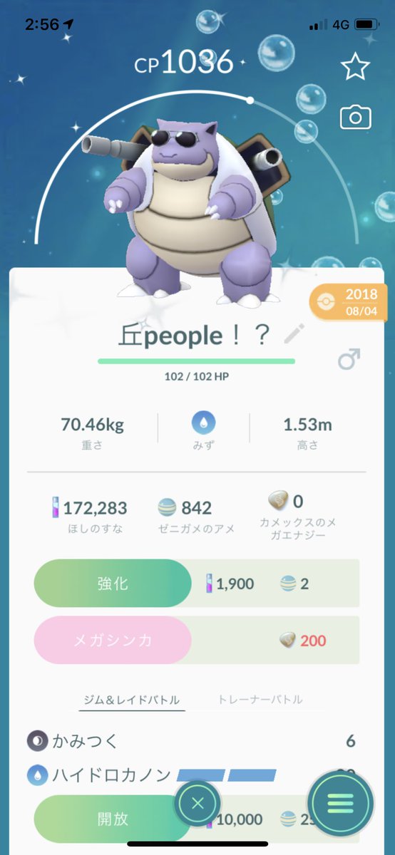 どれあむ W メガシンカできるポケモンはまだごく一部みたいですね 衣装付きのやつもメガエナジーの表記が出てますが メガシンカできないって言われてたコピーポケモンも表記出てるんでおそらく表記があるだけでメガシンカはできない感じになる