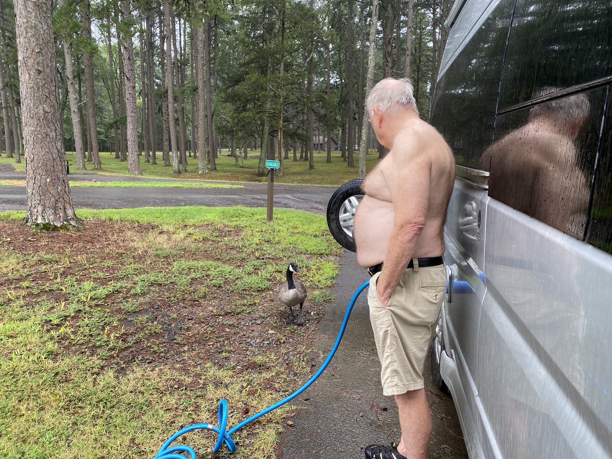 2manyplaces2lit's tweet photo. Watering up. Conversation with a visiting goose. “Sho sho. No food here for you”. Did she listen? Heck no. Too many people have been feeding her. No fear of people. Sad. #Arkansas #waitingitout #HurricaneLaura2020 #lotsofrainandwind expected later this afternoon. https://t.co/00qdV4z8NW