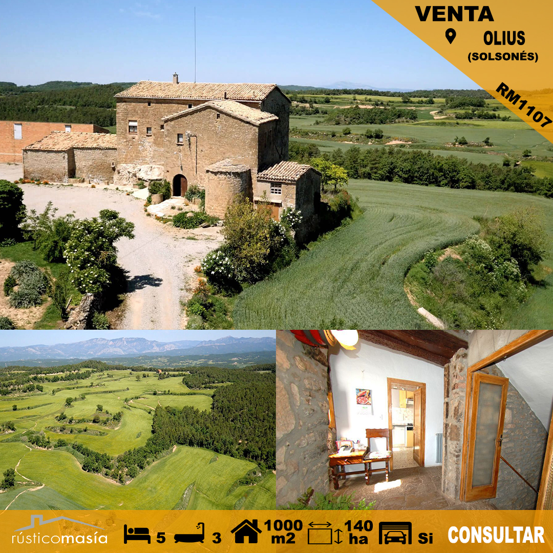 rusticomasia's tweet photo. La finca del teu futur 🤩140ha on podreu crear el vostre negoci i la teva nova vida, vinya, cereals d'hivern, arbres fruiters, agroturisme, explotacions ramaderes ... Totes les opcions són possibles amb aquesta finca 😍
-
#rusticomasia https://t.co/iRhH08wECG