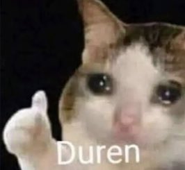 sofiaflrsm's tweet image. @rdzwalter wali on Twitter