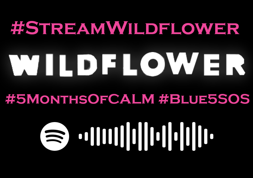 highheartLia's tweet image. #StreamWildflower  Also don't forget to stream Easier mv on yt! #Blue5SOS #5MonthsOfCALM