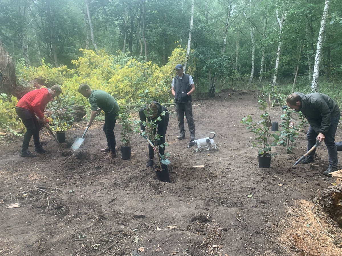 camillaffoster's tweet image. Tree planting and a great walk and talk from Farmer Tom at Birch for the Audi e-tron Sportback UK launch! #audi #etronsportback #birch #uklaunch
