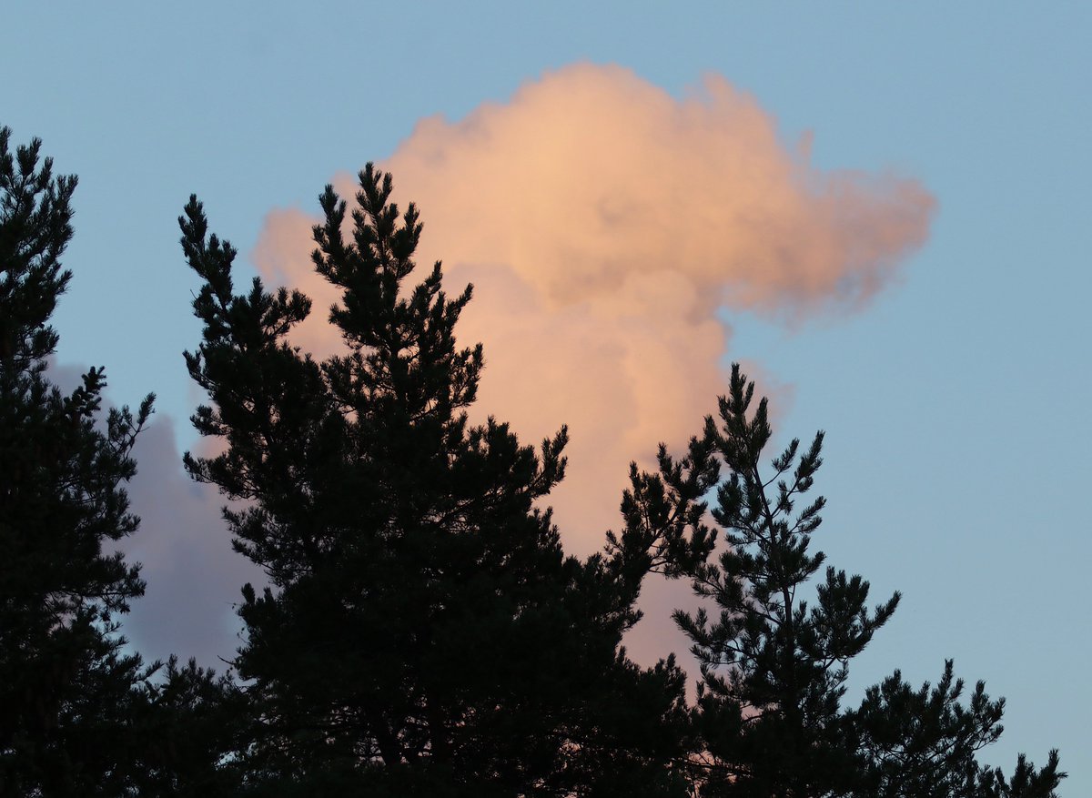 KValisaari's tweet image. Yksinäinen kumpupilvi ilta taivaalla #pilvi #ilta #taivas