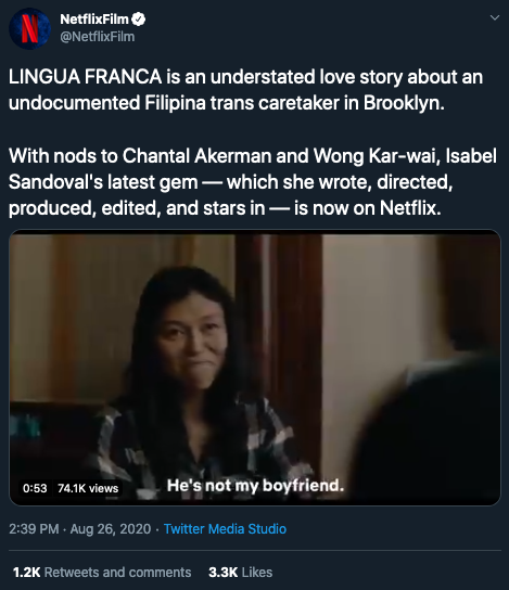 *Open up ye olde zogflix device*"Honey, would you like to watch the gaytranny illegal immigrant love story, the groundbreaking gay drama, or the explicit political propaganda advertisement?"