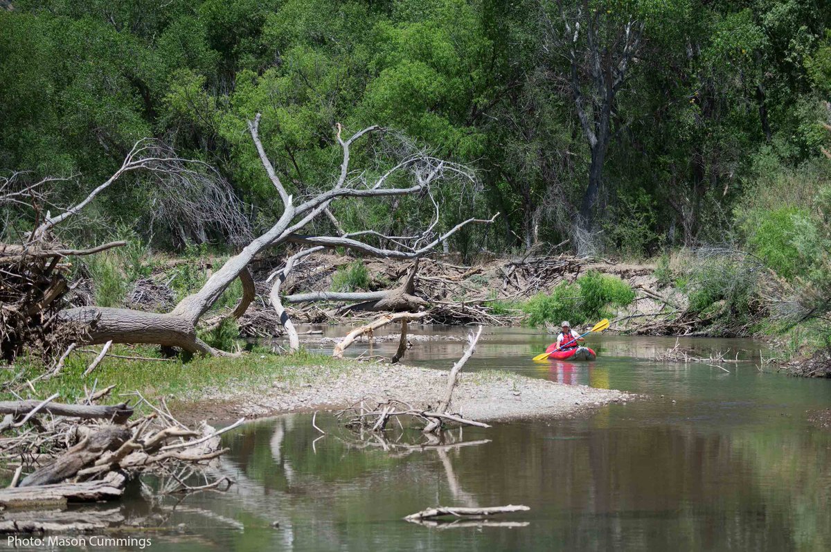 With rising rivers from monsoon rains, it's a great time to float down the río. What is your favorite spot in Nuestro Gila for kayaking and inner-tubing?