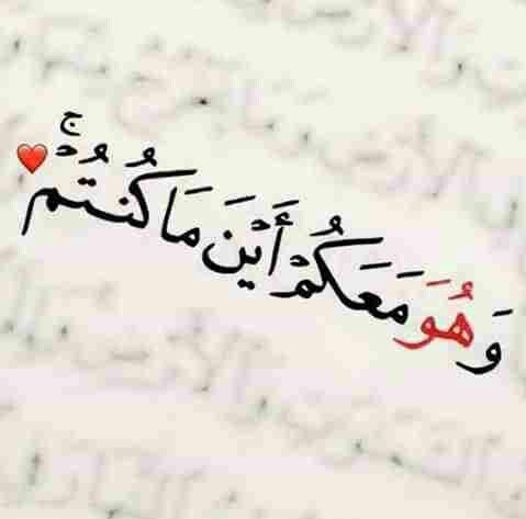 {وَهُوَ مَعَكُمْ أَيْنَ ما كُنْتُمْ }

يا طمأنينة القلب 
يا صدق اليقين ..❤️