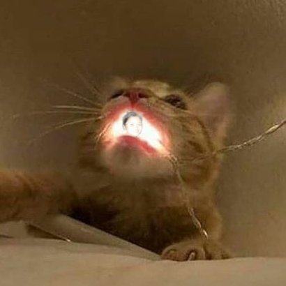   #ERIN: hindoterists shining light https://abs.twimg.com/emoji/v2/... draggable=